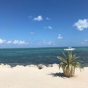 Meet your Posher, Juan carlos